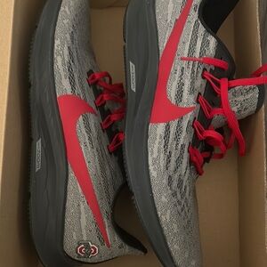 Nike Gray and Red Running Shoes